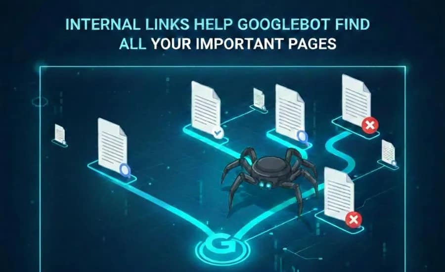 Crawl Budget in SEO
