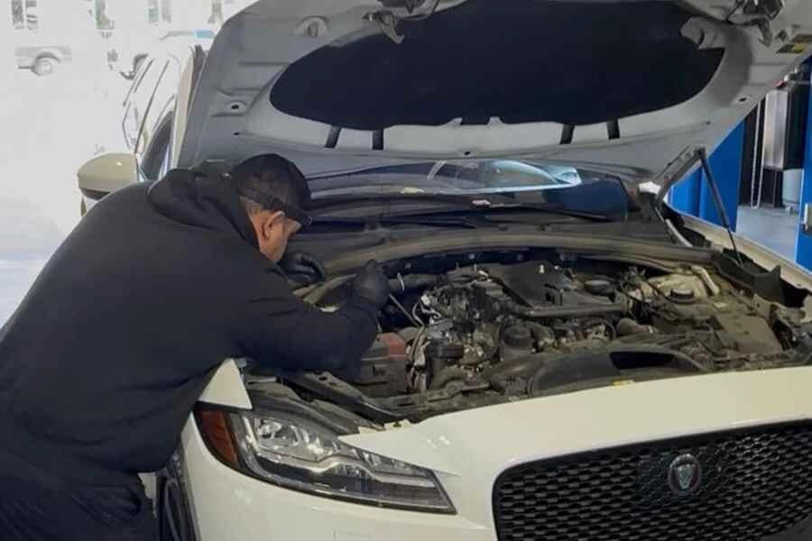 european car repair in houston