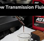 Signs of Low Transmission Fluid